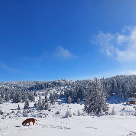 Gold Hill Villa Sekulic Екстериор снимка